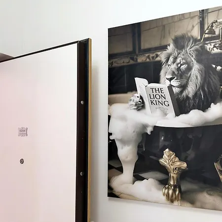 Lions Apartment Split